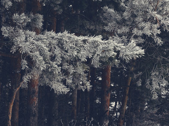 Similar image 11948056