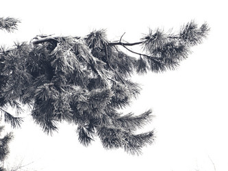 Similar image 11948057