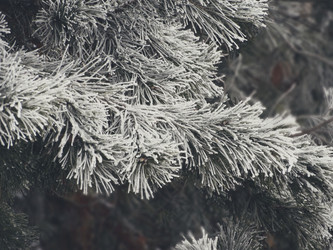 Similar image 11948058