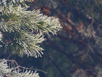 Similar image 11948060