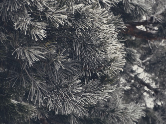 Similar image 11948062