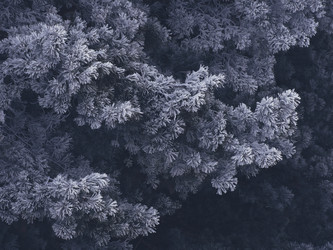 Similar image 11948063