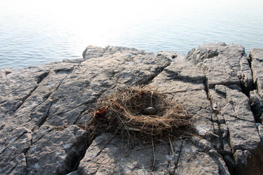 Similar image 11940394