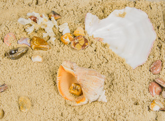 Similar image 11947907