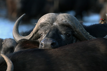 Similar image 11940398