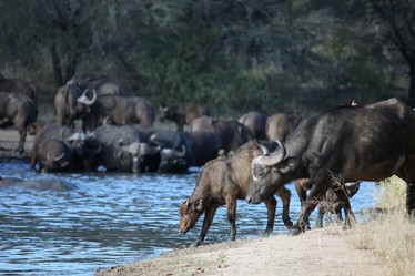 Similar image 11940405