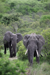 Similar image 11940406