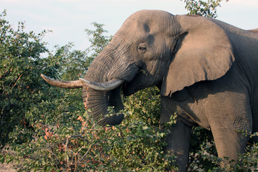 Similar image 11940408