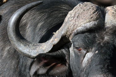 Similar image 11940414