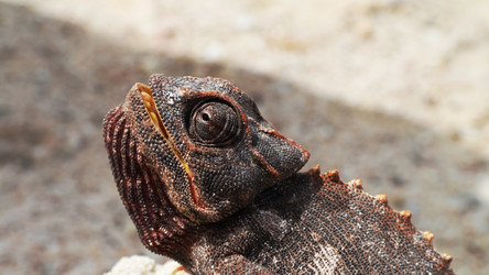 Similar image 11948792