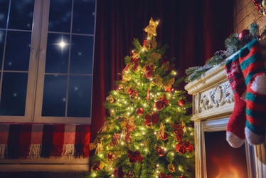 Similar image 11941914