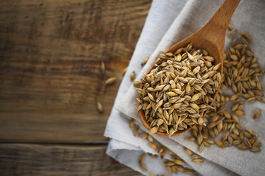 Similar image 11944719