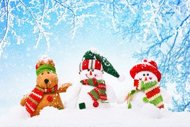 Similar image 11957440