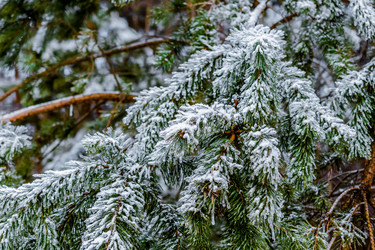 Similar image 11948674