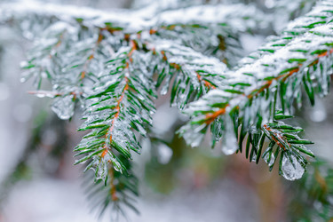 Similar image 11947858