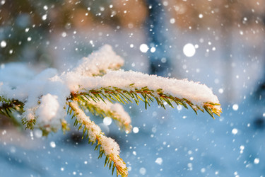 Similar image 11947862