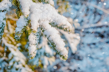 Similar image 11948675