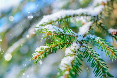 Similar image 11948676