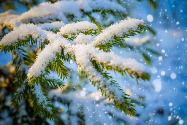 Similar image 11948677