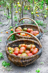 Similar image 11948680