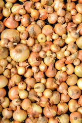 Similar image 11948681