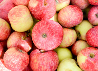 Similar image 11948682