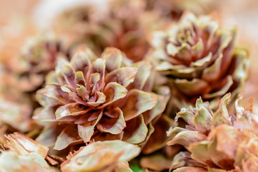 Similar image 11948683