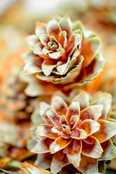 Similar image 11948684