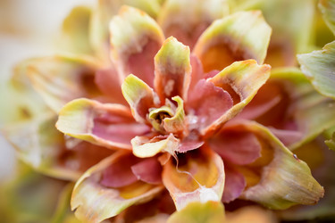 Similar image 11948685