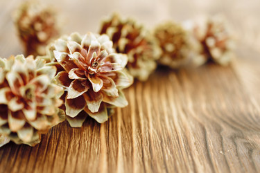 Similar image 11948698