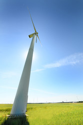 Similar image 11948699