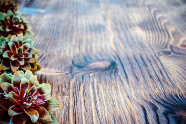 Similar image 11948701