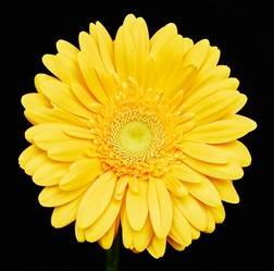 Similar image 11941434