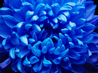 Similar image 11941549