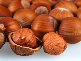 Similar image 11942263