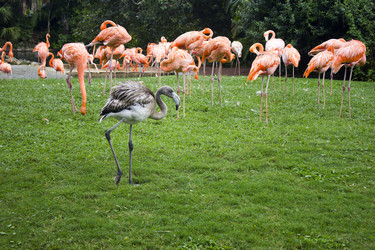 Similar image 11943158