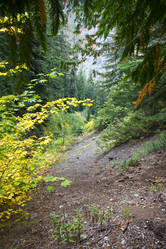 Similar image 11949531