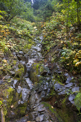 Similar image 11949532