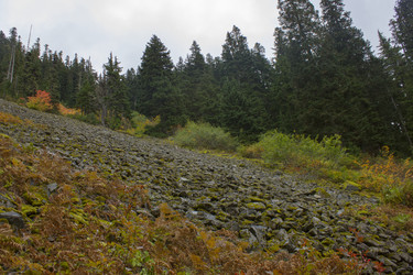 Similar image 11949533