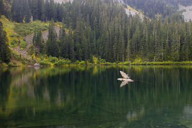 Similar image 11949534