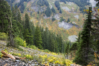 Similar image 11949536