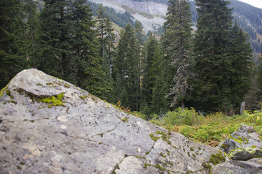 Similar image 11949537