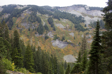 Similar image 11949538