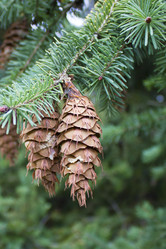 Similar image 11942288