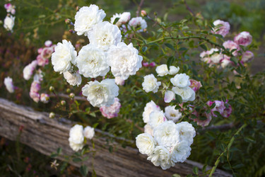 Similar image 11948169