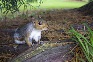 Similar image 11944908