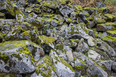 Similar image 11948170