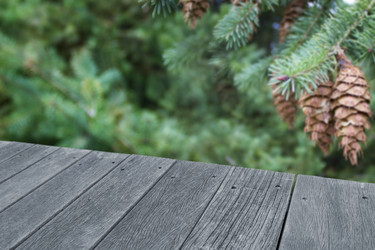 Similar image 11948171