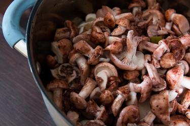 Similar image 11943410