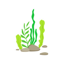 Similar image 11953052